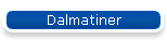 Dalmatiner